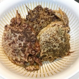 意外にリーズナブルです クリガニと長ネギの味噌汁 レシピ 作り方 By えだ豆カシューナッツ 楽天レシピ 意外にリーズナブルです クリガニと長ネギの味噌汁 レシピ 作り方 By えだ豆カシューナッツ 楽天レシピ